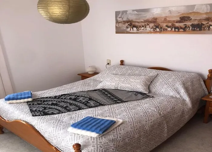 Lcd - Diversitat Miami Playa